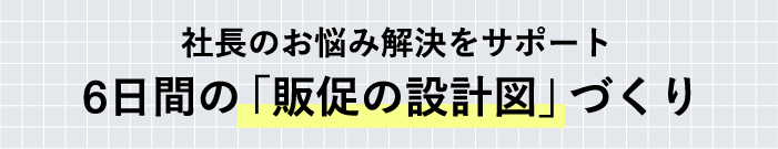 社長のお悩み解決をサポート　6日間の「販売の設計図」づくり